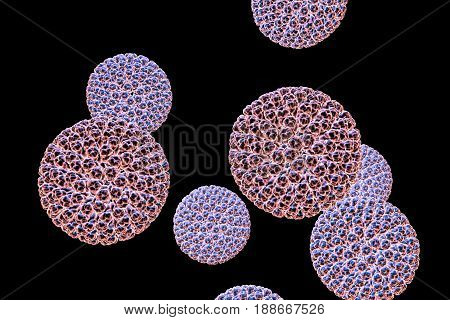 Rotaviruses isolated on black background. Molecular model of a rotavirus which causes diarrheal infection in children. 3D illustration