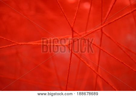 Closeup of red thread knotted with anatomical appearance