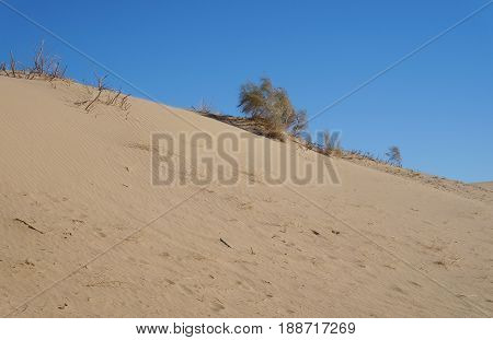 Sand dunes in the desert Arava, Israel