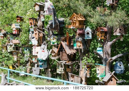 nesting box. it is a lot of nesting boxes. various nesting boxes on a tree