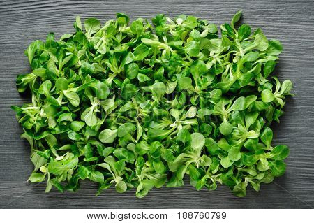 Corn salad valeriana at dark stone