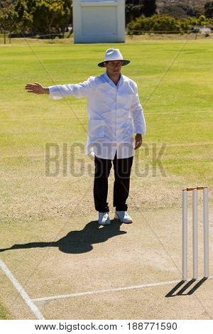 Full length of cricket umpire signalling no ball during match on sunny day