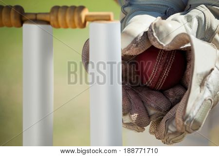Cropped hands of wicketkeeper catching ball behind stumps