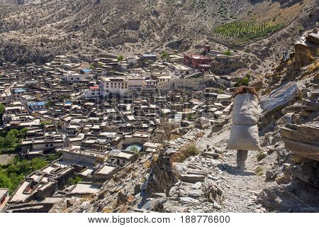 Marpha village, Nepal - May 14, 2016: Nepalese people colect wood near Marpha village in Lower Mustang district, Nepal