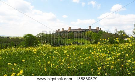 Monteriggioni with yellow flower in the front