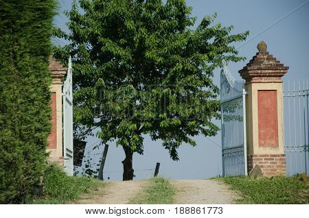 Landscapes of the roer between vineyards castles and good wine