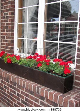Centru Windowbox