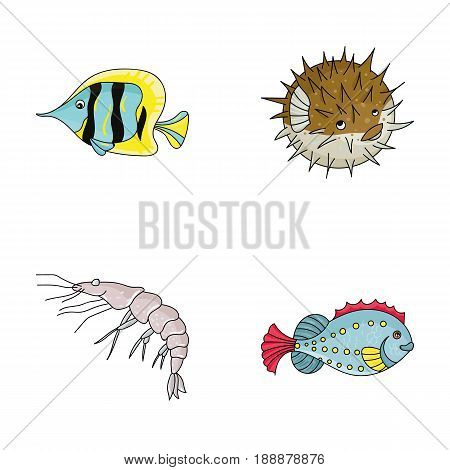 Shrimp, fish, hedgehog and other species.Sea animals set collection icons in cartoon style vector symbol stock illustration .