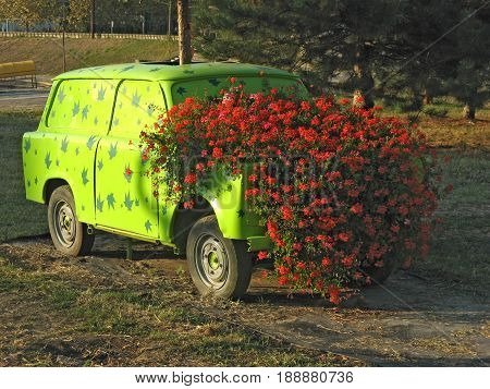 Bush of red flowers growing from green car's engine