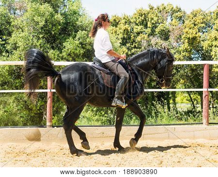 riding woman on a white stallion training in dressage