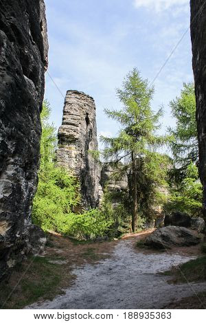 Rock Mountain In Tisa With Trees. Czech Landscape