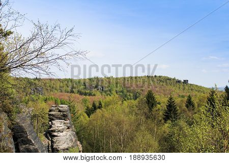 Rock Mountain In Tisa Overall View With Trees And Sky. Czech Landscape