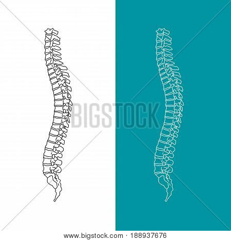Vector illustration white spine diagnostic symbol, design, sign. Diagnostic center. Flat and solid color style design