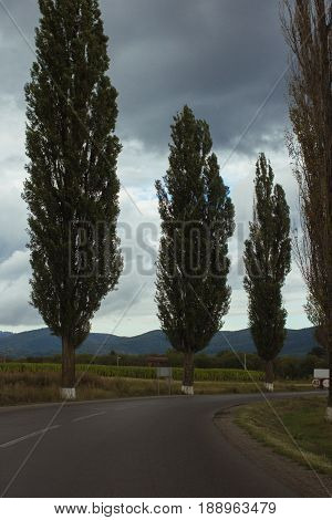 beautiful landscape. countryside road to mountains with poplar trees on sides. entering some settlement village with proper sign of speed restriction. rainy day with gray sky full of clouds. vertical shot