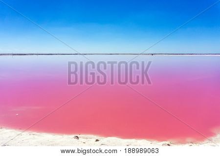 Beautiful pink water and clear blue sky near Rio Lagartos Mexico