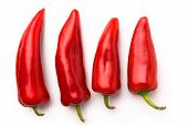 Red chili peppers isolated on white