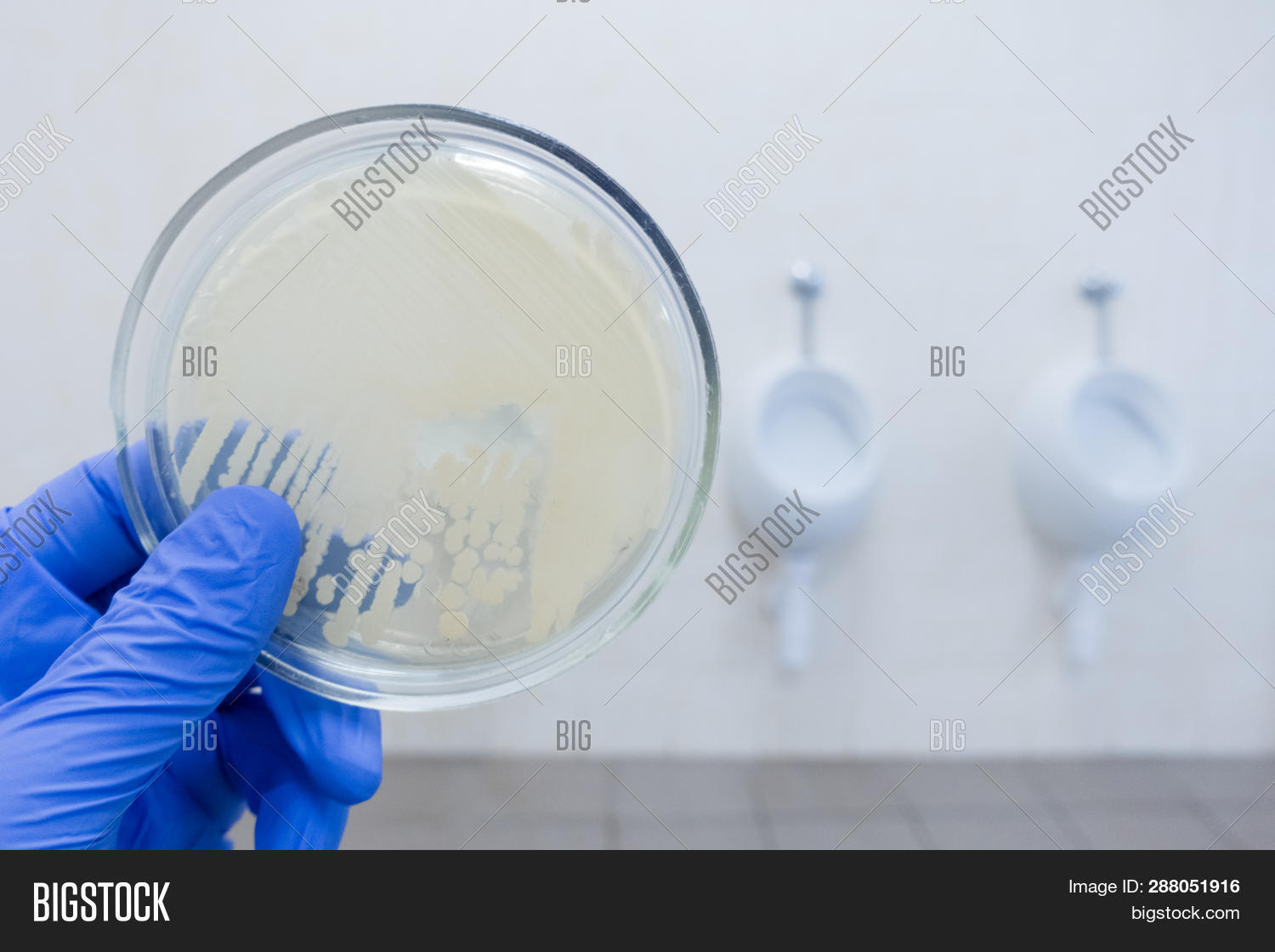 Bacteria Bathroom. Image & Photo (Free Trial) Bigstock