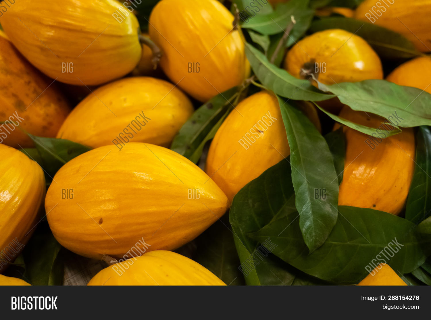 Yellow Tropical Fruit
