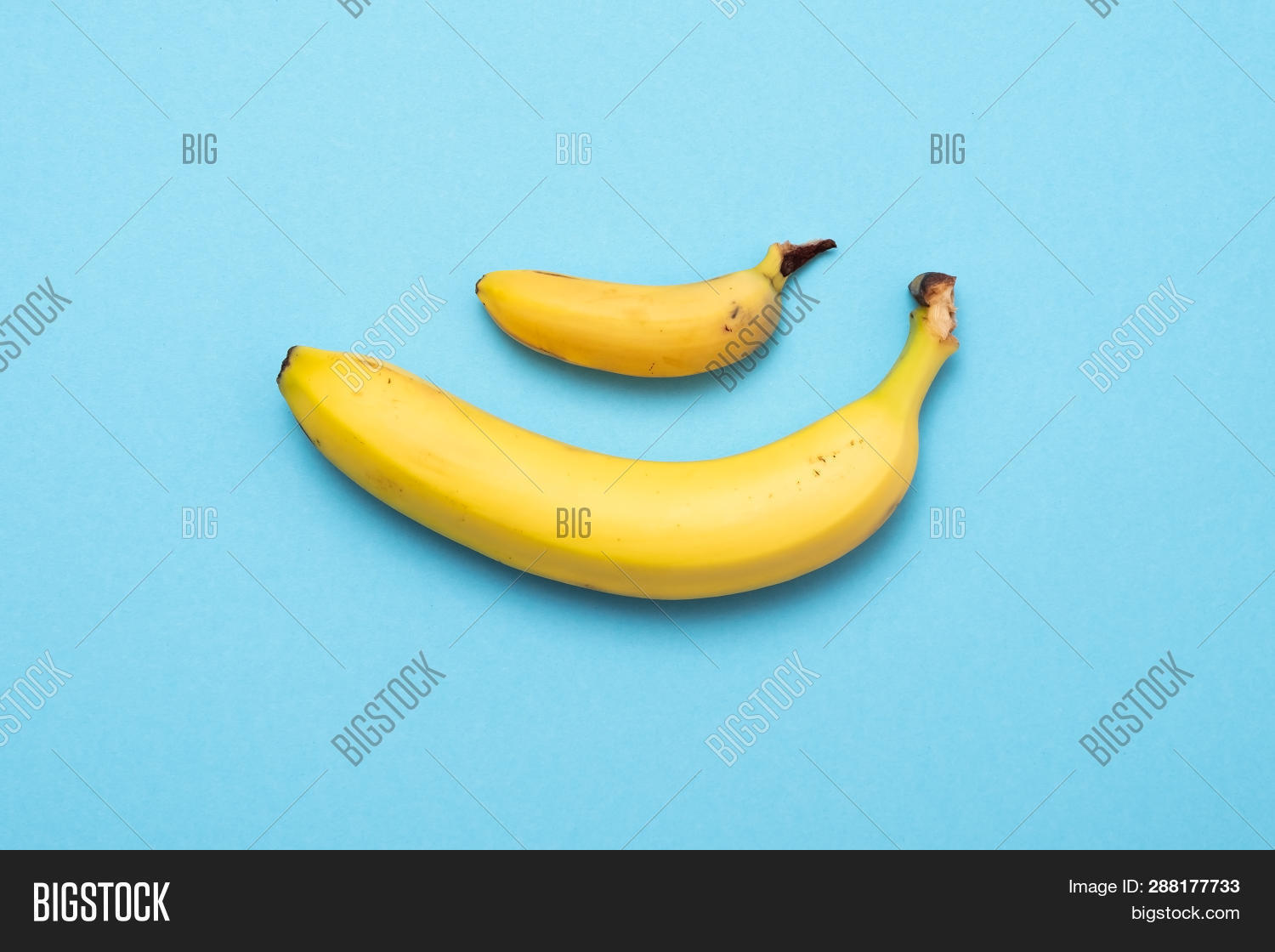 Small Banana Compare Image & Photo (Free Trial) Bigstock