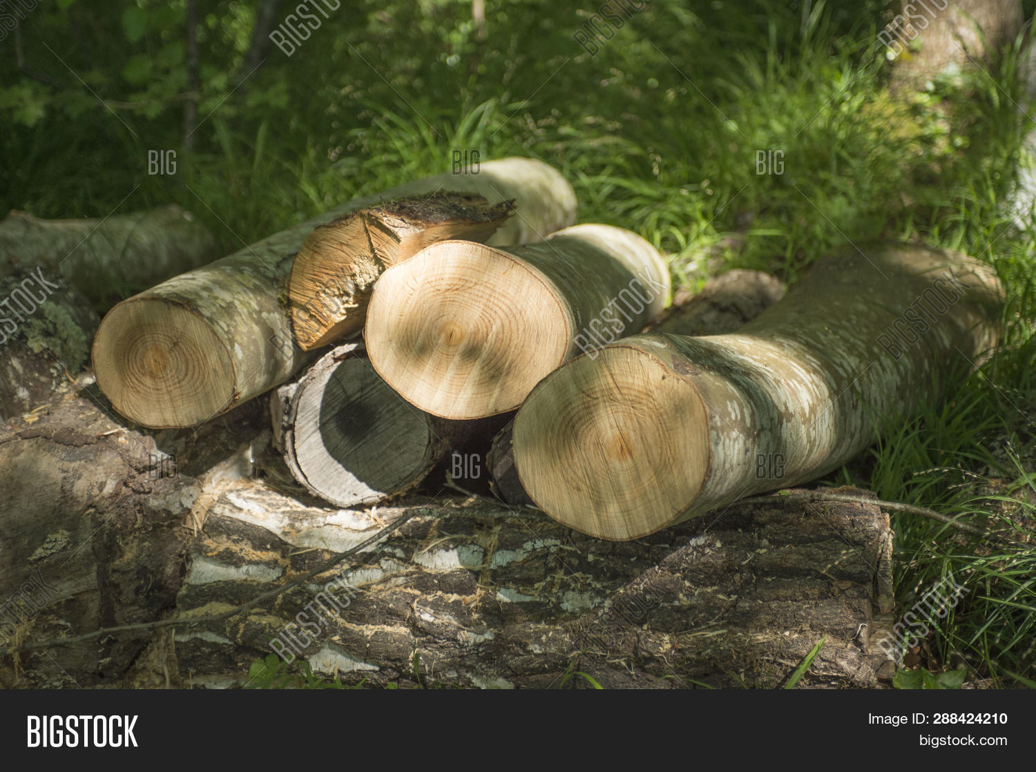 Close Wood Logs Dle Image Photo Free Trial Stock Close Wood Logs Dle Image Photo