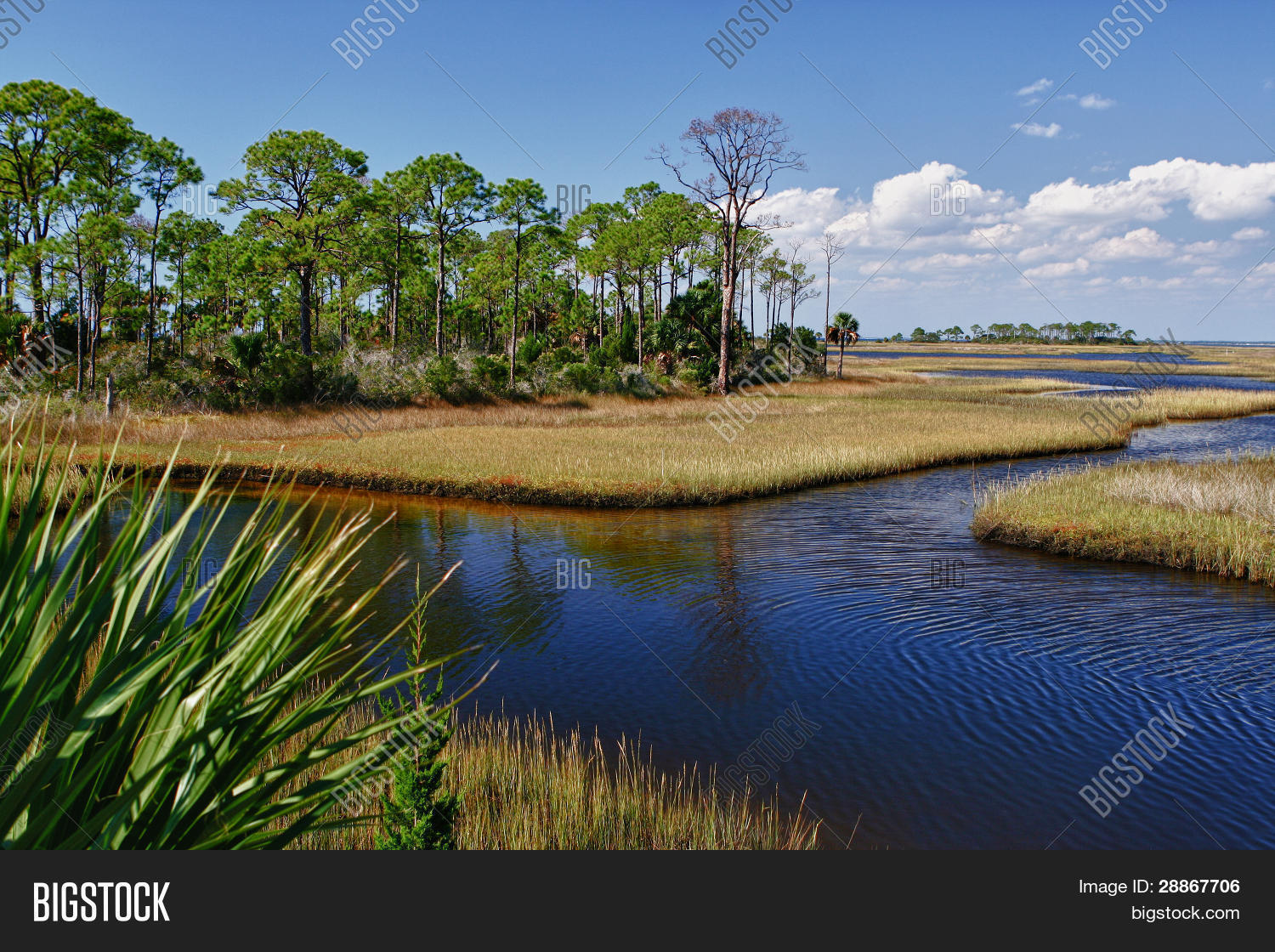 Glades Florida Image Photo (Free Trial) Bigstock Glades Florida Image Photo (Free Trial) Bigstock