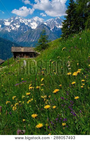 Landscape Of The Swiss Alps In Valais