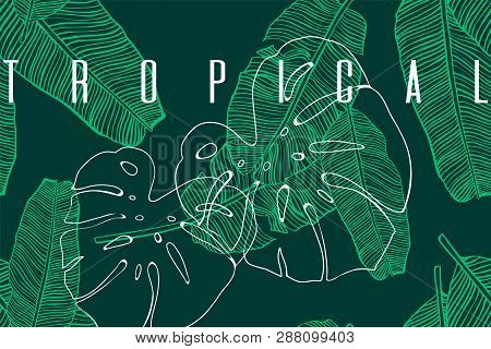 Tropical Pattern With Banana Foliage And Monstera Leaf. Hand Drawn Tropic Leaves. Exotic Green Backg