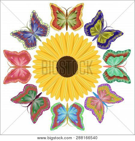 Eight Motley Beautiful Butterflies And A Bright Flower. 
Vector Illustration.
