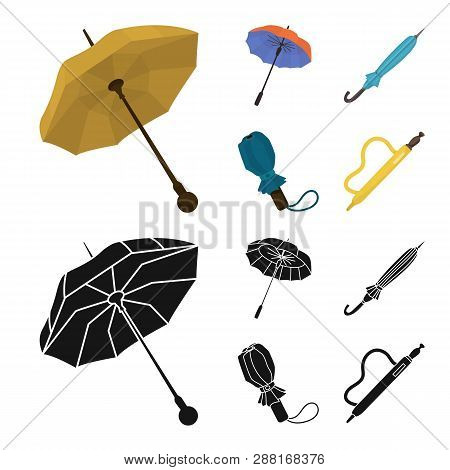 Isolated Object Of Protection And Closed Icon. Collection Of Protection And Rainy Stock Vector Illus