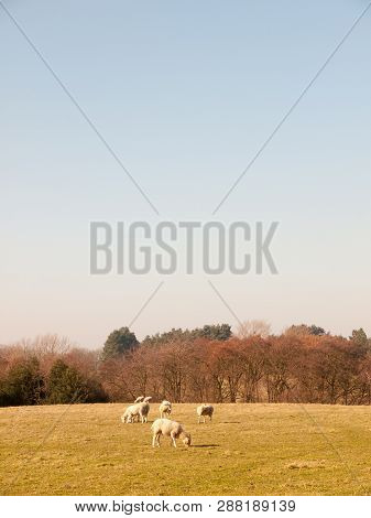 Beautiful Countryside Dedham Water Scene Outside Nature Landscape Space