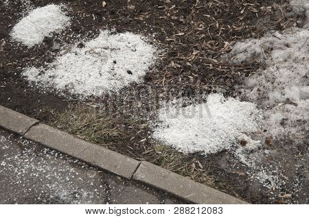 Deicing Chemicals Near Asphalt Road In Moscow