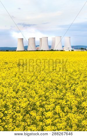 Nuclear Power Plant With Cooling Towers Behind Yellow Rapeseed Field