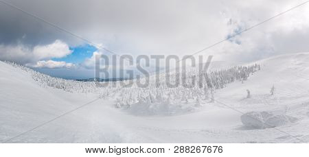 Panorama View Of Snow Monster On Mt.zao