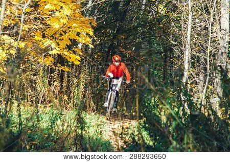 October 14, 2018, Minsk, Belarus.2018 Olympic Cross Country Cup Xco In Medvezhino