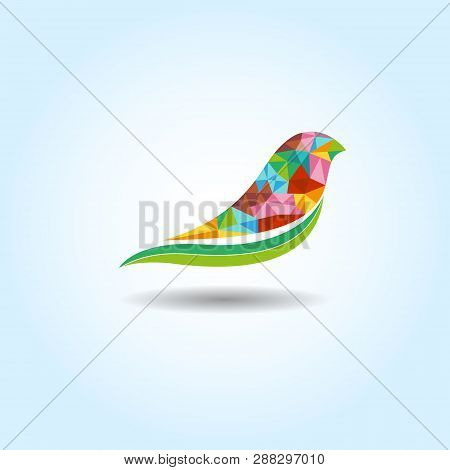 Colorfull Bird Vector Illsutration For You Bussiness