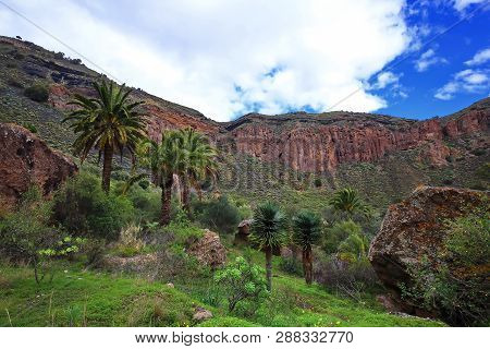 Bandama Crater Is An Extinct Volcano On Gran Canaria