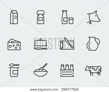 Milk And Other Dairy Products Vector Icon Set In Thin Line Style