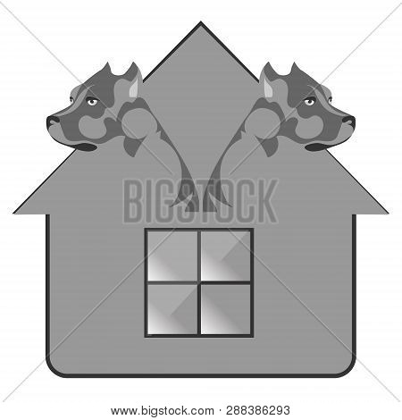 A Serious Dog Breed Pit Bull Bears Service