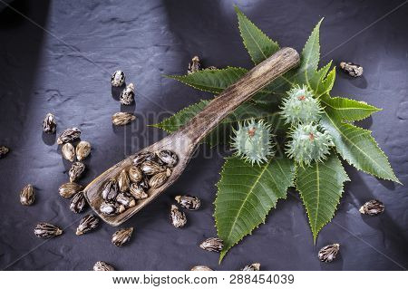 Beans And Castor Oil On The Black Table