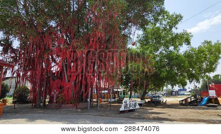 Sekinchan, Malaysia - 09 Mar, 2019: Wishing Words Written On Red Cloth With Steel Washers Hung Onto 