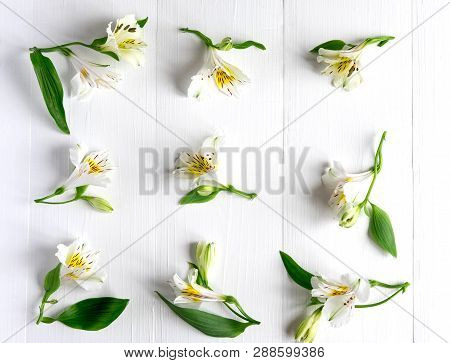 Pattern With Pink Flowers On A Dark Background. Alstroemeria Flowers On A Gray Background. Backgroun
