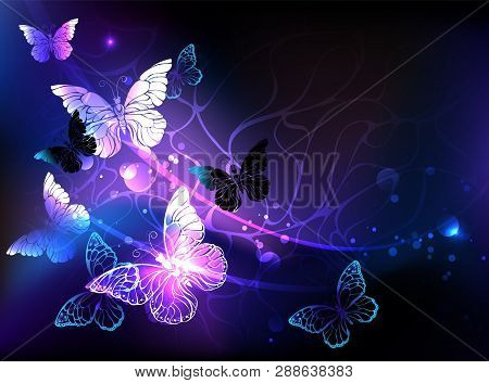 Black Background With Glowing Night Butterflies. Night Butterflies. Design With Butterflies.