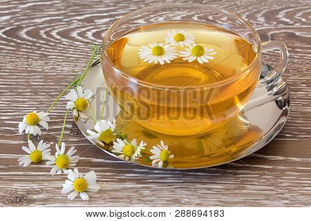 Chamomile Tea In Glass Cup
