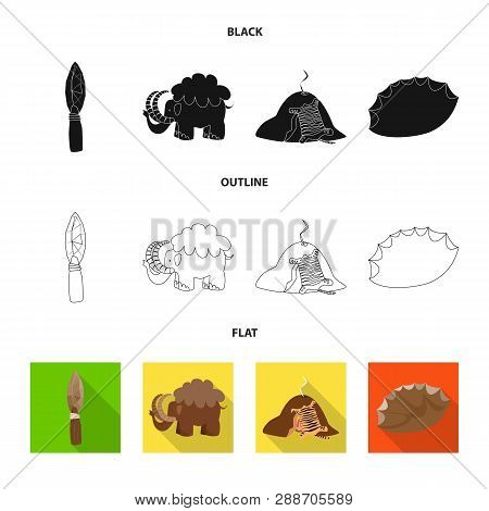 Vector Design Of Evolution  And Prehistory Icon. Collection Of Evolution  And Development  Stock Vec