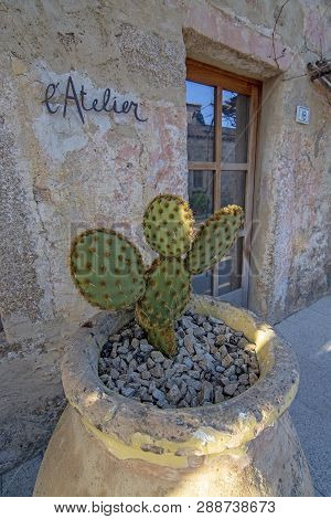 L Atelier Store Front With Cactus Plant