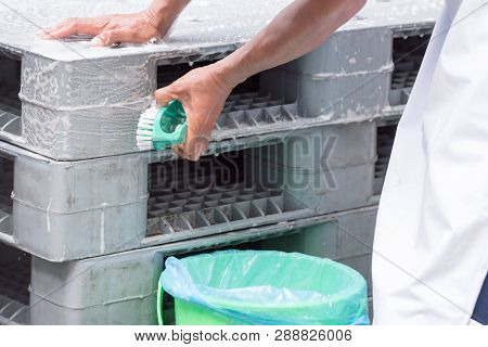 Cleanliness Of Plastic Pallet In The Foods Industry In India.