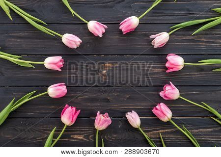 Fresh Pink Tulip Flowers On Wooden Table. Top View With Copy Space