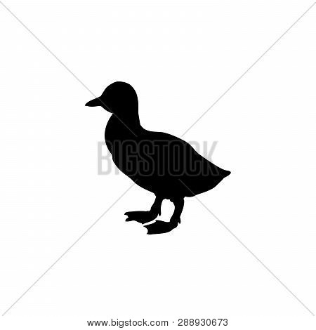 Gosling Bird Black Silhouette Animal. Vector Illustrator.