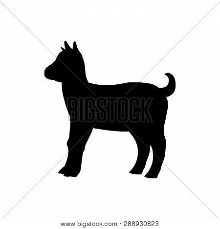 Goatling Farm Mammal Black Silhouette Animal. Vector Illustrator.