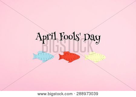 April Fools' Day Celebration Background With Paper Fish And Text On Pink Background. All Fools' Day,